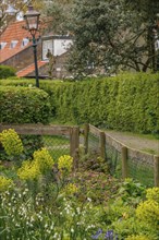 Flowering shrubs by the wooden fence, framed by green hedges and picturesque village houses, old