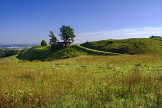 Heuneburg, fortification, Celts, open-air museum, Celtic museum, Celtic town of Pyrene,