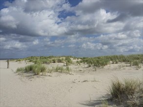 Extensive dune landscape on the beach under a partly cloudy sky, lonely beach with dune grass in