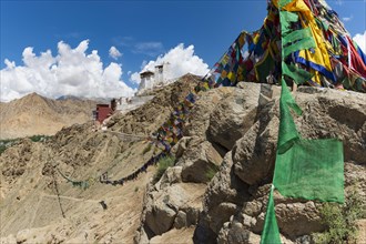 Namgyal Tsemo Gompa Monastery, Tsenmo Hills, Leh, Ladakh, Jammu and Kashmir, India, Asia