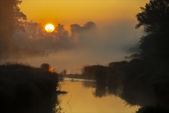 Morning atmosphere, fog, sunlight, backlight, water, Lower Austria