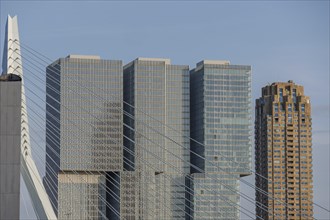 Large skyscrapers next to a modern bridge, blue sky, skyline of a modern city on the river with a