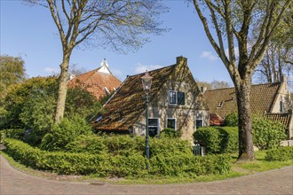 A peaceful village with houses surrounded by lush treetops and green hedges, historic houses in a