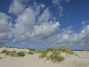 Extensive sand dunes with tufts of grass under a blue sky with white clouds, sand dune with dune