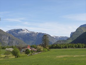 Idyllic picture with a house in a meadow in front of a mountain landscape, green meadow in spring
