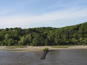 Empty sandy beach in front of a dense green forest on the riverbank with calm water and a blue sky,