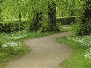 A forest path lined with green plants and white flowers leads into the thicket, small footpath