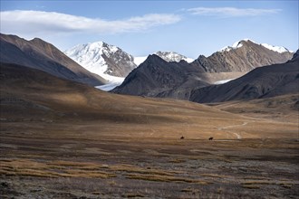 Riders on the autumnal plateau with brown grass, glaciated and snowy peaks, Sary-Tor Glacier, Ak