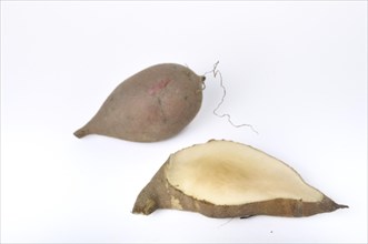 Yacon roots on a white background