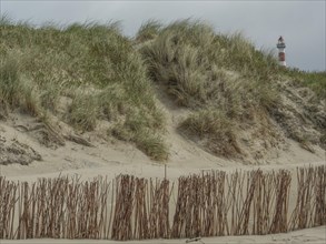 Landscape view of sandy dunes with grass by the sea and a lighthouse in the background, beach and