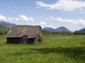 Hay barn in a meadow, near Irdning, Ennstal, Styria, Austria, Europe