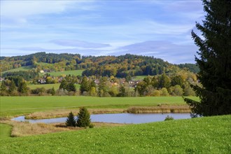 Storchenmoosweiher near Steingaden, Upper Bavaria. Bavaria, Germany, Europe