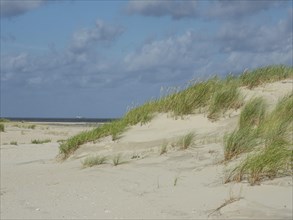 Sand dunes with tufts of grass and a view of the distant sea under a cloudy sky, lonely beach with