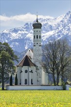Pilgrimage church of St Coloman in spring, dandelion meadow, Schwangau, Fuessen, Ostallgaeu,
