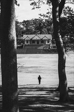 A person walks towards a building through the park. Taken in black and white in Auckland, New