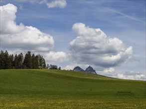 Meadow at the edge of a forest, cloudy mood over a mountain peak, near Bad Mitterndorf, Styria,