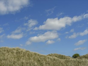 Grassy dunes under a cloudy blue sky, dune and hiking trails at the wadden sea, clouds in the sky,