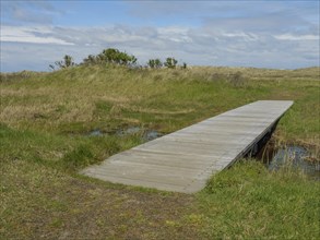 Wooden bridge in the middle of a green meadow with cloudy sky, wooden path through the dune, blue