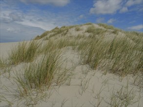 Sand dunes with dense grass under a blue, cloudy sky, dune with dune grass and a boat by the sea,