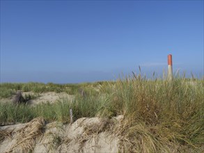 Sand dunes with grass and a red and white post under a clear sky, dunes and beach at the sea with