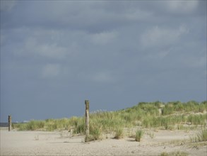 Barren dune landscape with tufts of grass and wooden posts under a cloudy sky, lonely beach with