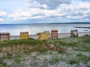 Several beach chairs on a sandy beach, driftwood in the foreground, calm sea and cloudy sky behind,