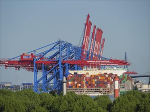Container port with large coloured containers and cranes as well as trees in the foreground, cranes