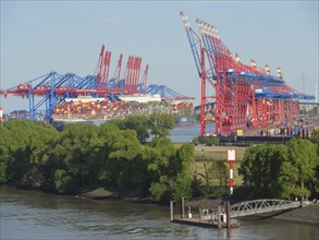 Container cranes at the harbour with colourful containers, water, green trees and a blue sky in the