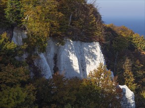White rocks in autumn, surrounded by colourful trees with a view of the blue sea under a clear sky,
