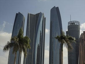 Modern glass skyscrapers and palm trees under a blue sky in the sunshine, modern skyscrapers with