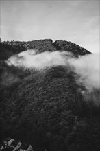 A mountain rises mysteriously out of the fog, surrounded by a dark forest. Brodenbach, Germany,
