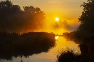 Morning atmosphere, fog, sunlight, backlight, water, Lower Austria