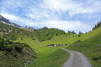 Weissenbach-Alm, Karwendel, Tyrol, Austria, Europe