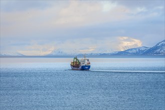 Boat in the Lyngenfjord in winter, Norway, Europe