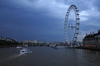Ferris wheel (135m high) on the Thames near Westminster Bridge at dusk, London, England, Great
