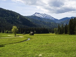 Hay barn in a green meadow, behind Kammspitze, near Bad Mitterndorf, Styria, Austria, Europe