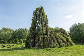 Topiary garden, Weidenschneck, Boizenburg, Mecklenburg-Vorpommern, Germany, Europe