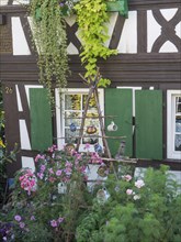 Half-timbered house with green shutters and pink flowers, decorated with cans and ivy, old