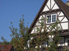 Gable of a half-timbered house with tree branches in front of a clear blue sky, old half-timbered