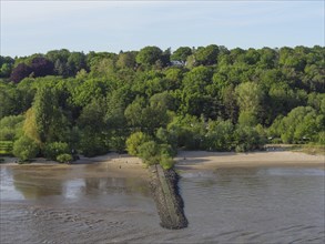 Quiet river beach with surrounding green trees, calm water and a clear blue sky, green shore on a