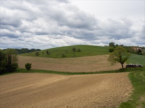 Arable land in hilly country, East Styrian volcanic region, near Riegersburg, Styria, Austria,