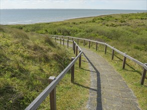 Narrow downhill path with wooden railings leading to a coast under a blue sky with clouds, dune and