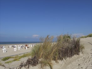 Beach with dunes and grass in the foreground, sea and sky in the background, dunes and beach at the