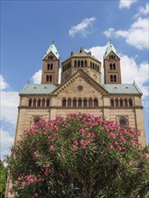 Historic church with towers, a blooming rose bush in the foreground under a blue sky, blooming bush