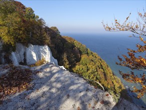 Rock on the coast surrounded by trees and autumn leaves, the blue sea in the background, autumn
