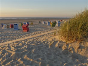 Beach chairs in different colours on the sandy beach, surrounded by dunes and sea at dusk, sunset