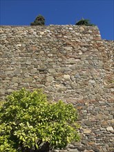 Stone wall with a tree in the foreground and a clear blue sky in the background, stone walls of an