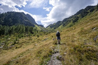 Mountaineer on a hiking trail, mountain landscape with green meadows, ascent to Schoenjochl,
