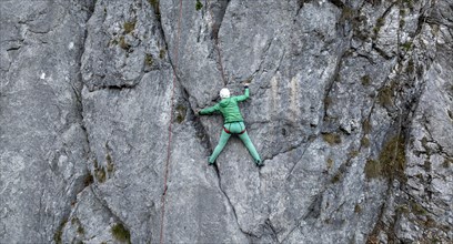 Sport climbing with rope, climber on a rock face, Frauenwasserl climbing garden, Ammergau Alps,