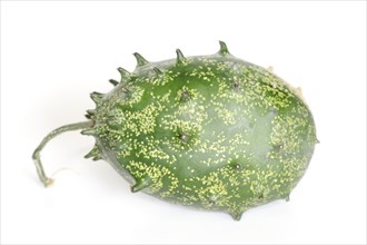 African horned melon (Cucumis metuliferus), fruit on white background
